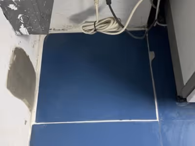 ภาพแกลลอรี่ 11