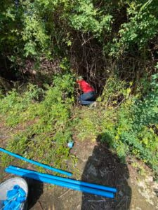 ภาพแกลลอรี่ 12