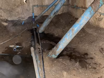 ภาพแกลลอรี่ 8