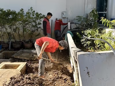 ภาพแกลลอรี่ 4