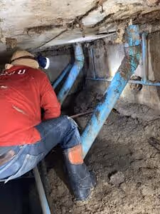 ภาพแกลลอรี่ 1