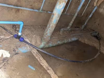 ภาพแกลลอรี่ 1