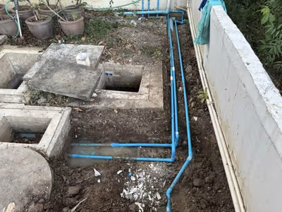 ภาพแกลลอรี่ 8