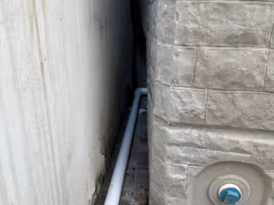 ภาพแกลลอรี่ 11