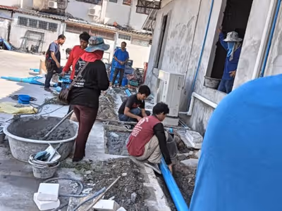 ภาพแกลลอรี่ 10