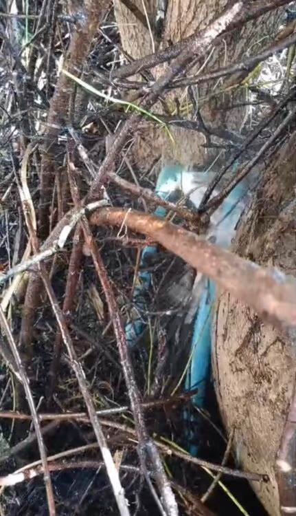 ทีมช่างประปามืออาชีพ